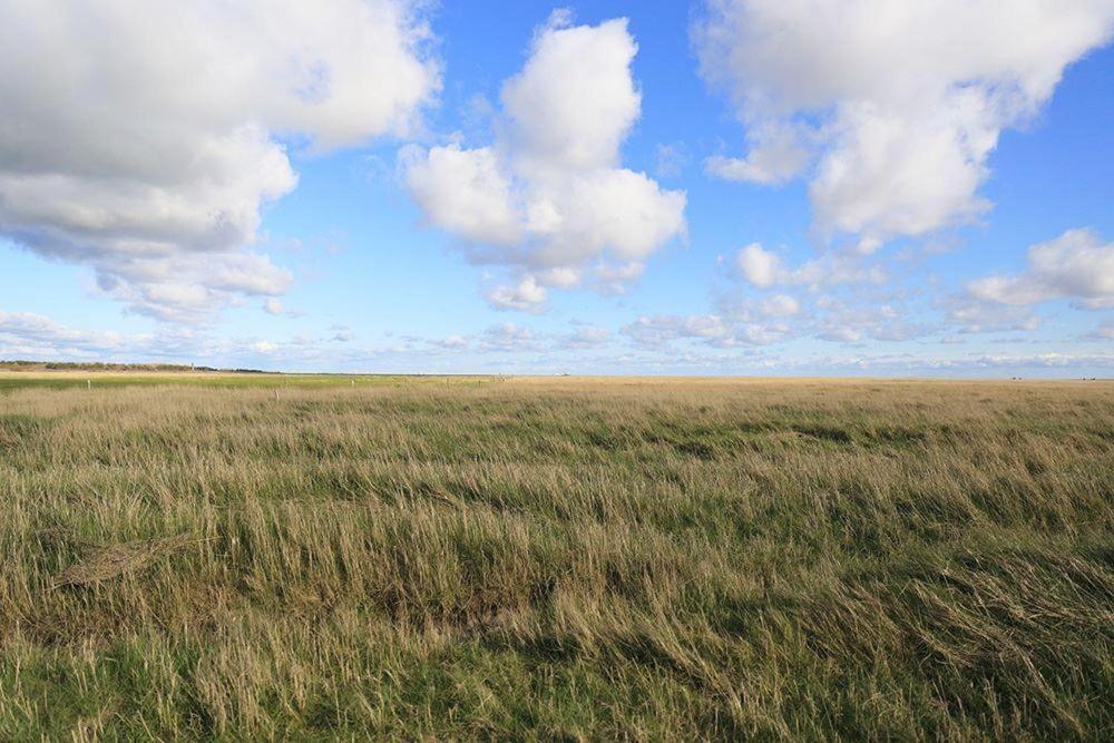 Appartamento Haus-Boehler-Landstrasse-Whg-01 Sankt Peter-Ording Esterno foto