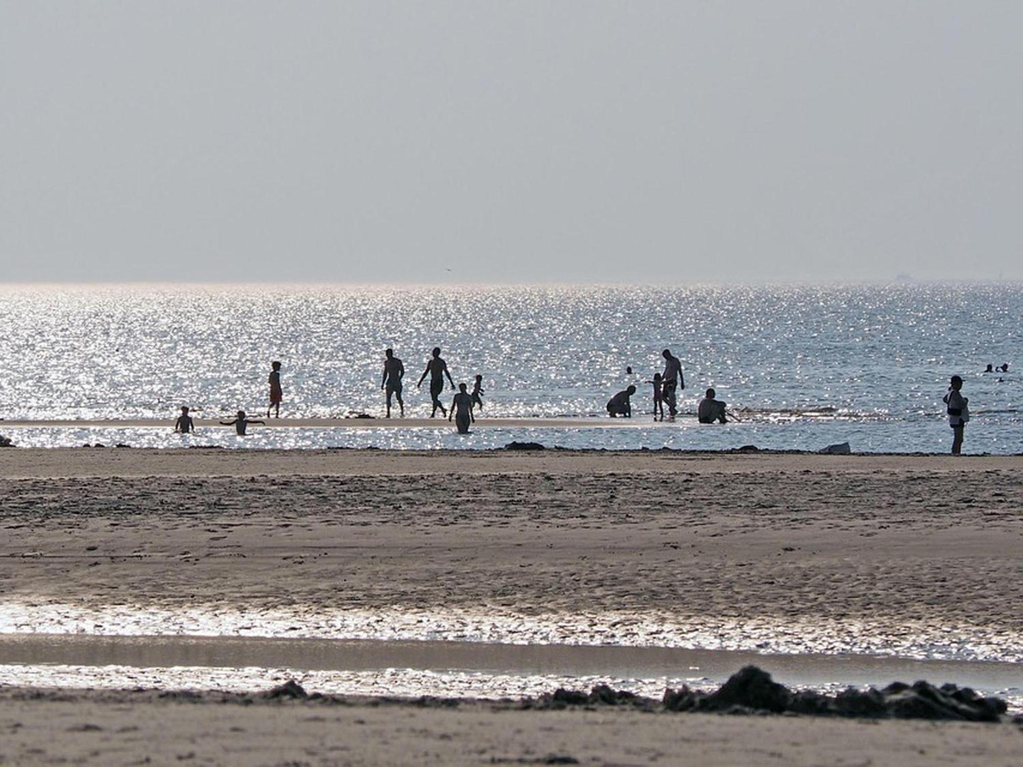 Appartamento Haus-Boehler-Landstrasse-Whg-01 Sankt Peter-Ording Esterno foto